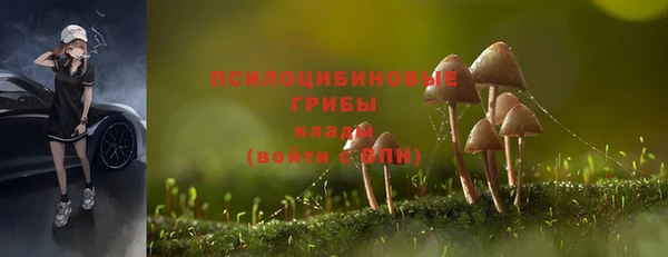 бошки Ростов