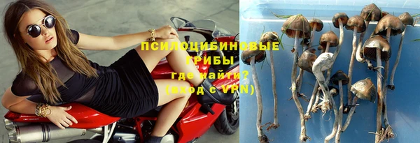 бошки Ростов